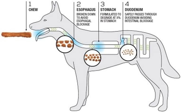 TRURANCH All-Natural Rawhide Alternative Dog Treats, 5" Pork Skin Sticks (Smoked), 10 Pack, with Real Pork, Healthy Treats, Limited Ingredients Dog Chew, for Small, Medium, and Large Dogs