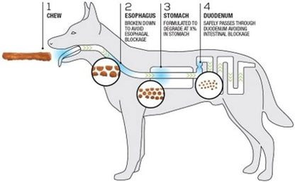 TRURANCH All-Natural Rawhide Alternative Dog Treats, 5" Pork Skin Sticks (Smoked), 10 Pack, with Real Pork, Healthy Treats, Limited Ingredients Dog Chew, for Small, Medium, and Large Dogs