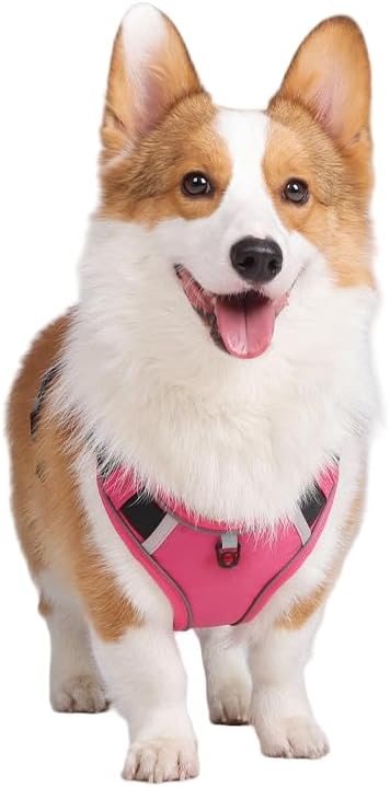 Dog Harness,Cat Harness,No Pull Dog Harness with Holder Holder fit for AirTag for Small and Medium Dogs and Cats. (Pink, M(Chest:18-24.8",Neck:(17.3-21.2"))