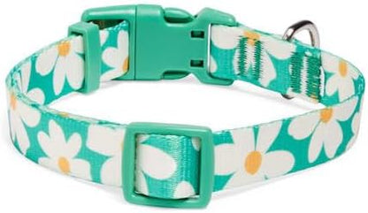 YOULY Daisy Dog Collar Large