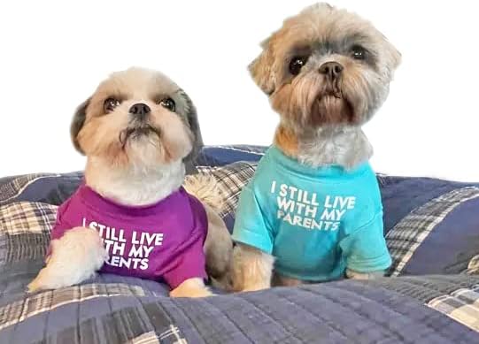 Cute Dog Clothes,Dog T Shirt for Medium and Small Dogs Girl Boy,Puppy.Breathable Soft Costume Pet Dogs Cats,Pet Pullover Jumper,Cat Clothes (S-(4~8lb), Chest~14",Aqua)