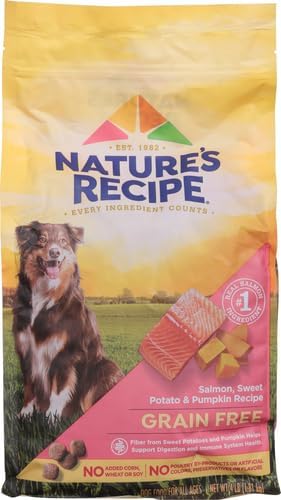 Nature's Recipe Grain Free Dry Dog Food, Salmon, Sweet Potato & Pumpkin Recipe, 4 lb. Bag