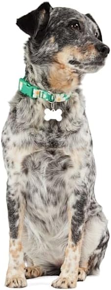 YOULY Daisy Dog Collar Large
