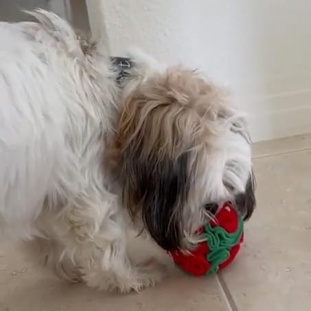 Glory To Dog Puppy and Small Breed Snuffle Interactive Foraging Dog Puzzle Ball Toy Christmas Green and Red