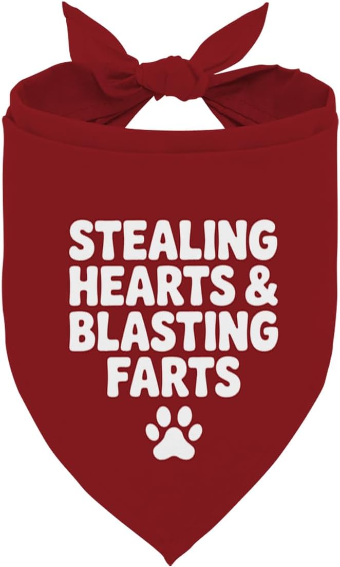 Valentine's Day Dog Bandana, Stealing Hearts and Blasting Farts Quote Pet Bandana, Valentine's Day Pet Photoshoot Accessories, Adjustable Comfortable Triangle Dog Scarf
