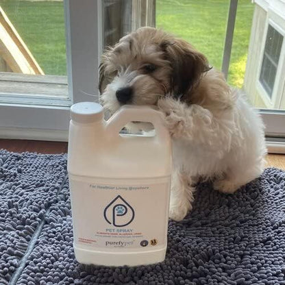 PUREFY Pet Spray (68oz) Eliminate pet matters and pet urine from the environment. Pet Odor Eliminator. Unscented. No residue. (68oz)
