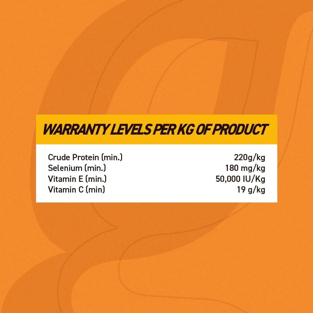 Organnact Antiox E-C Selenium Supplement for Horses - Supports Antioxidant Functions with Vitamin E, C & Selenium - Ideal for Athletes, Breeders & Aging Horses - 1.1 Lbs