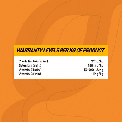 Organnact Antiox E-C Selenium Supplement for Horses - Supports Antioxidant Functions with Vitamin E, C & Selenium - Ideal for Athletes, Breeders & Aging Horses - 1.1 Lbs