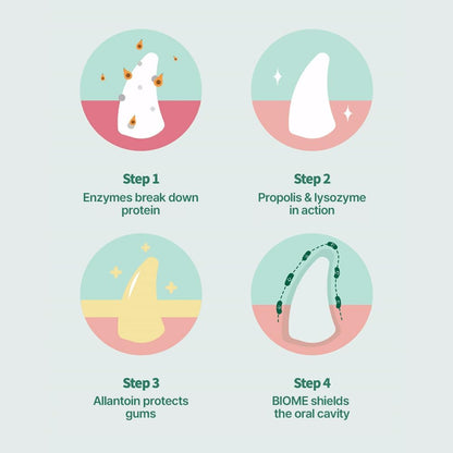 PetO’Dent Dental Water Additive for Cats–No Brushing Needed, Fresh Breath, Tartar Control & Gum Care with Catnip & Silvervine Extracts, 8.45 fl oz / 250ml