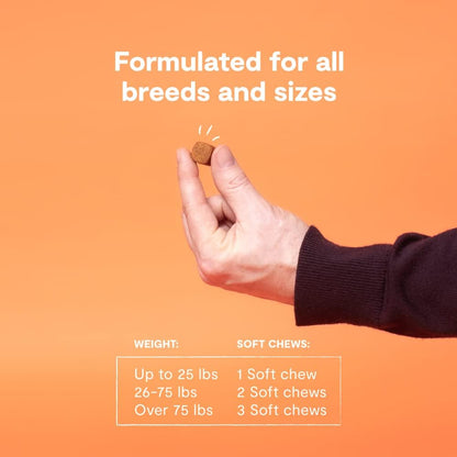 Open Farm Probiotic Chews, Dog Supplement, Dog Vitamins, Supports Normal Flora and Bowel Movement Using Traceable and Vet-Approved Ingredients, 12.7 oz, 90 Count