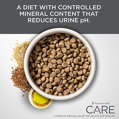 Diamond CARE Urinary Support Cat 15lb