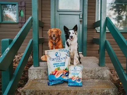 Earthborn Holistic Unrefined Smoked Salmon Recipe with Ancient Grains & Superfoods Dry Food for Dogs and Puppies (4 lb. Bag)