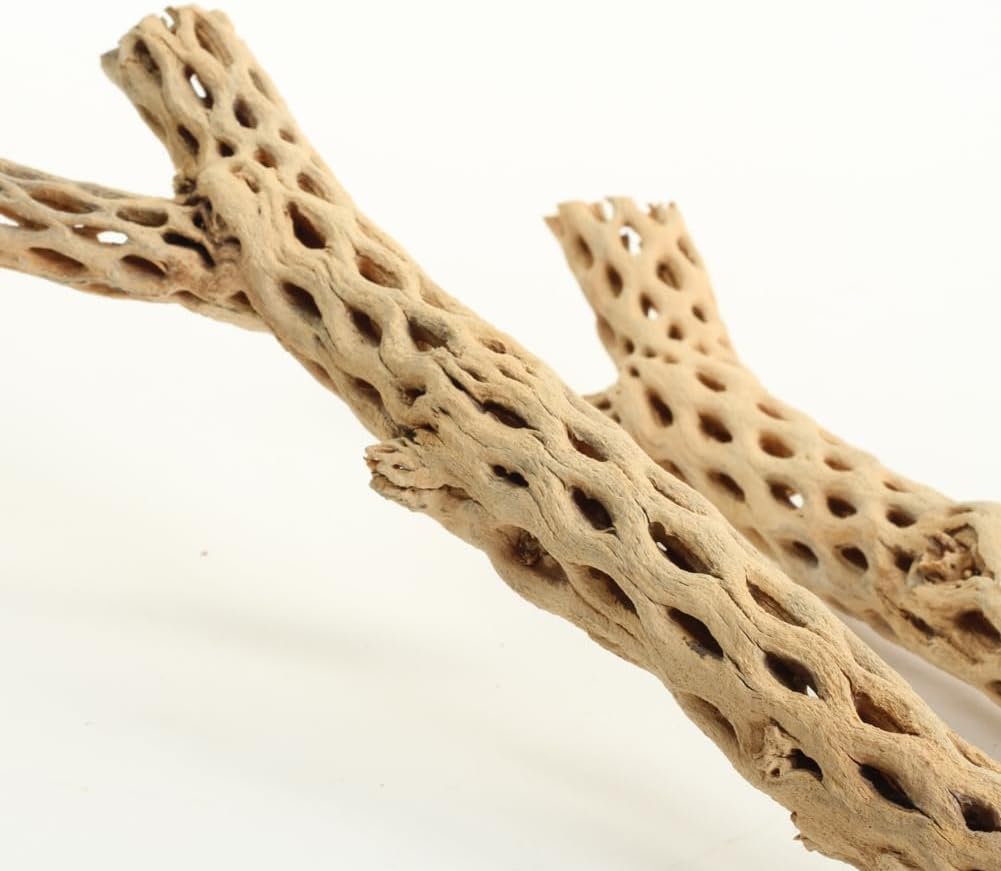 Koyal Wholesale 24" Cholla Wood Aquarium Leopard Gecko Tank Accessories Untreated Large Driftwood for Aquarium Wood Hermit Crab Accessories Drift Wood for Shrimp Tank Gecko Accessories