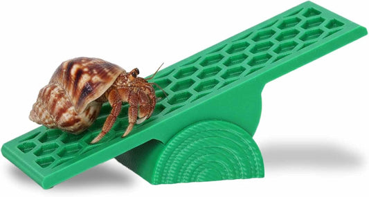 Hermit Crab Seesaw