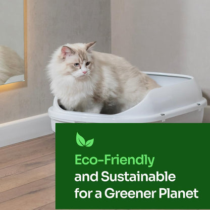 Tofu Cat Litter – Clumping, Flushable, Ultra Absorbent & Fast Drying | 100% Natural, Dust-Free, Low Tracking | Water-Soluble & Eco-Friendly (5.5 lbs x 2 Bag)