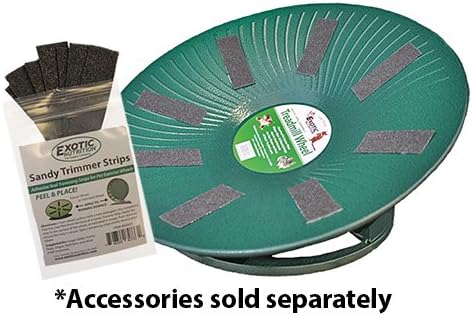 Treadmill Wheel 14" Black - All Metal Exercise Wheel for Chinchillas, Prairie Dogs, Rats, Hedgehogs, Sugar Gliders, Squirrels, Degus, Hamsters & Other Small Animals - Smooth, Fast, Silent, Durable