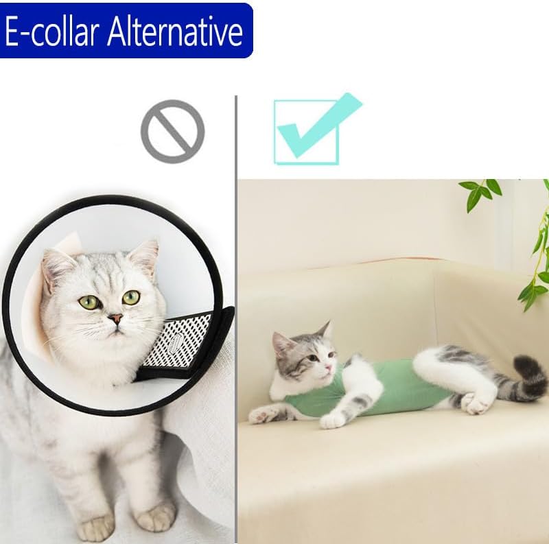 Cat Recovery Suit Cat Surgery Onesie for Female Male Cats After Surgery Spay Surgical Abdominal Wound Skin Diseases E-Collar Alternative Wear(Green, Medium)