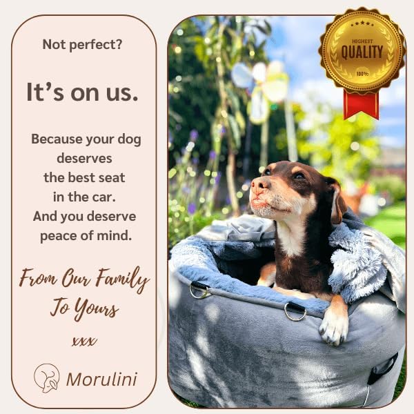 Dog Car Seat for Small Dogs & Puppies, Memory Foam Booster Carseat, Luxury Cozy Cover Cave Bed & Attachable Blanket & Free Toy, Washable, for Front & Back Seat, Small Dogs & Pets Under 30lbs