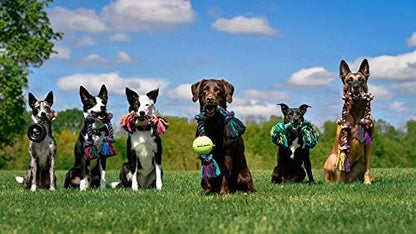 Mammoth Flossy Chews Rope Tug – Premium Cotton-Poly Tug Toy for Dogs – Interactive Rope Toy (Colors May Vary)