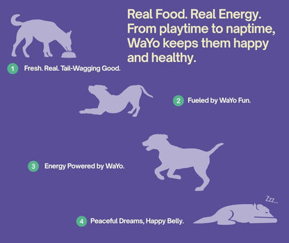 WaYo Fresh Dog Food, Fresh Human-Grade Meals for Dogs | Grass-Fed Premium Meat | All Life Stages | High-Protein, Ready-to-Serve | No Fillers or Art. Additives (11 Pack - 12oz) (Turkey)