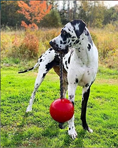 Jolly Pets Romp-n-Roll Rope and Ball Dog Toy, 8 Inches/Large, Red (608 RD)