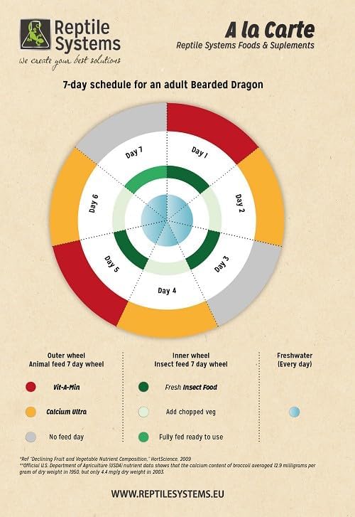 Reptile Systems À La Carte Insect Food – 2.1 oz Dried Insect Blend for Reptiles, Amphibians & Insectivores – Encourages Natural Feeding – Ideal for Supplemental Diet Use