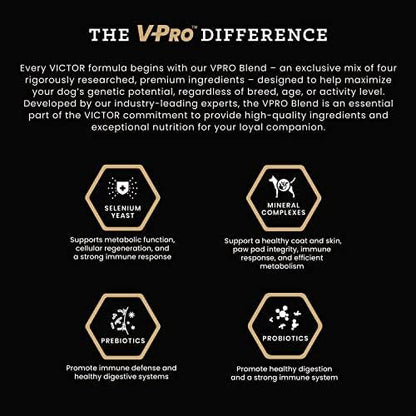 VICTOR Super Premium Dog Food – Elite Canine Dry Dog Food with Chicken & Fish Meal – 25% Protein, 14% Fat, Gluten Free – for Large Breed Dogs & Puppies, 15lbs