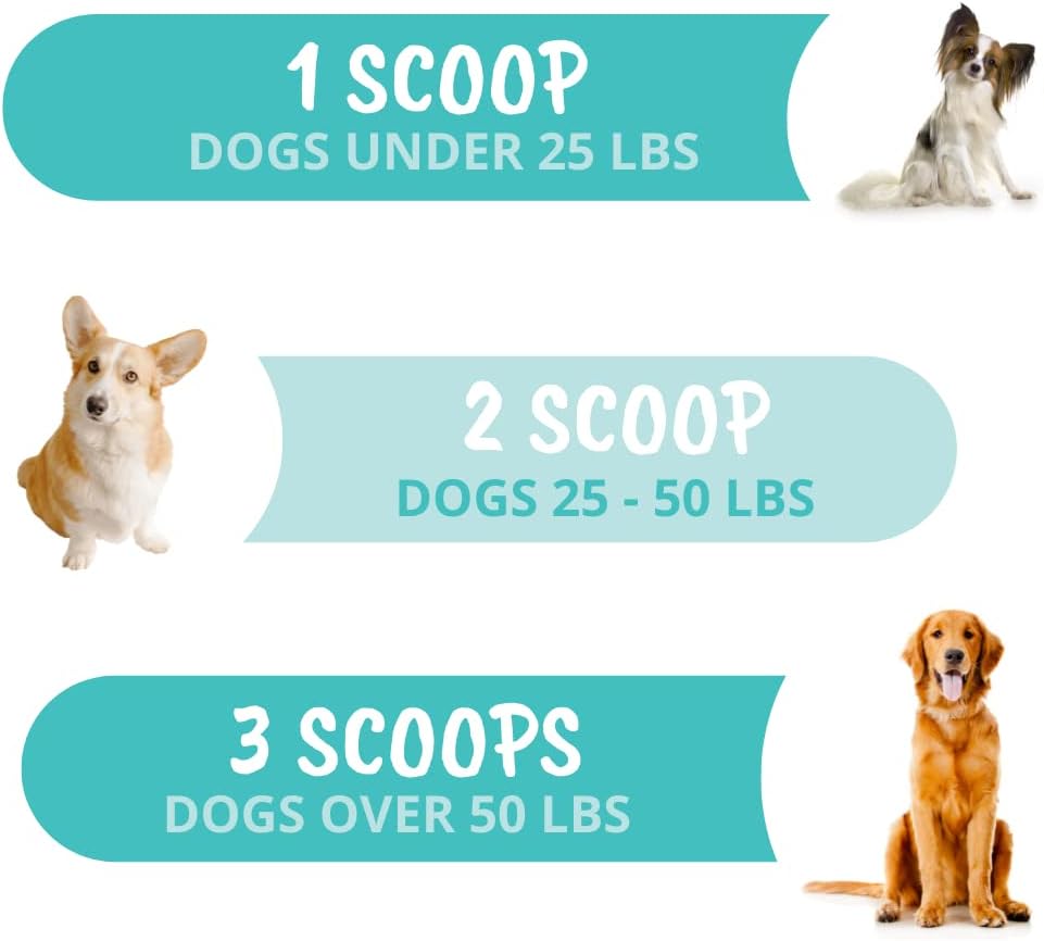 Under The Weather Pet Probiotic Powder for Dogs | Vet Formulated Dog Probiotics Supplement Filled with Good Bacteria | Promotes Healthy Digestion, Appetite, and Strong Immune System| 120 Servings