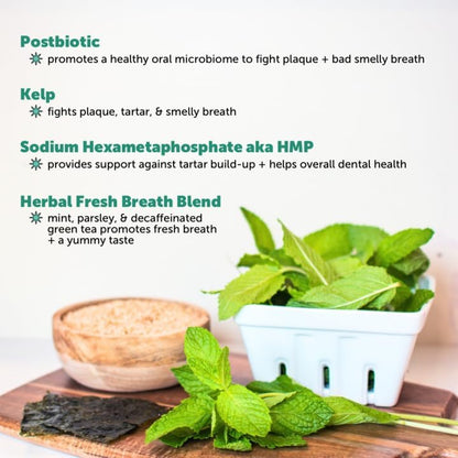 Multivitamin for Dogs + Dental Powder for Teeth Cleaning & Plaque Removal, Glucosamine, Probiotics, Omega Fish Oil, Vitamins for Skin, Coat, and Allergies