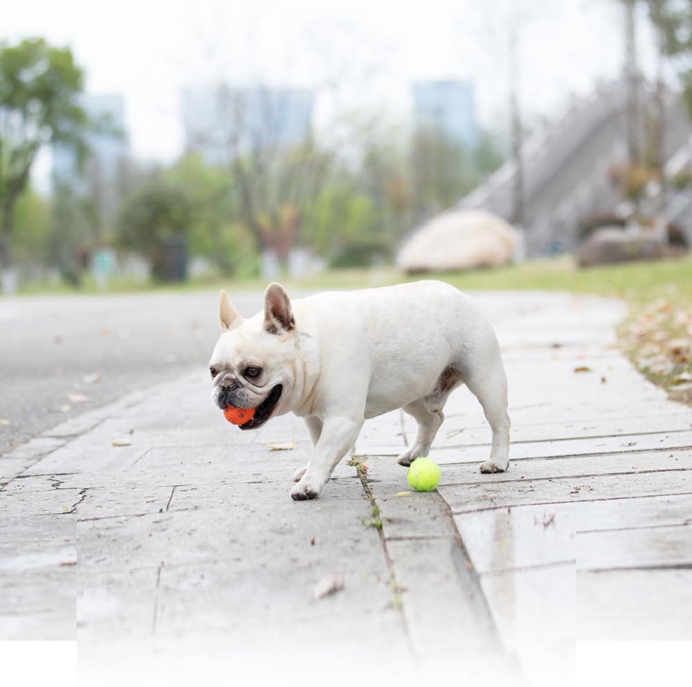 Dog Balls 12 Pcak, 9 Latex Balls and 3 Tennis Balls for Small Dogs and Puppies for Automatic Dog Ball Launcher(2 Inches)