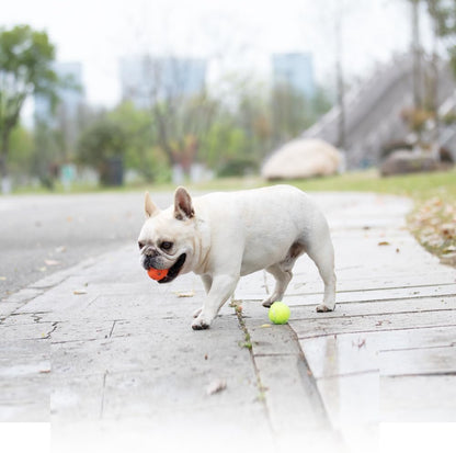 Dog Balls 12 Pcak, 9 Latex Balls and 3 Tennis Balls for Small Dogs and Puppies for Automatic Dog Ball Launcher(2 Inches)