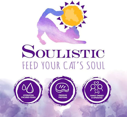 Soulistic Pate Chicken & Turkey Dinner in a Hydrating Puree Wet Cat Food, 2.8 oz., Case of 12