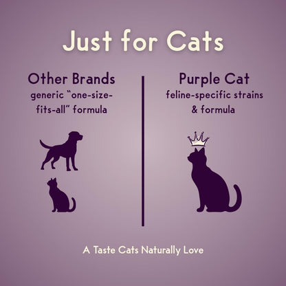 Feline Biome: Premium Cat & Kitten Probiotic – Gut Health, Diarrhea Relief & Immune Support – Natural & Organic Ingredients – 60 Soft Chews with Real Chicken and Chicken Liver