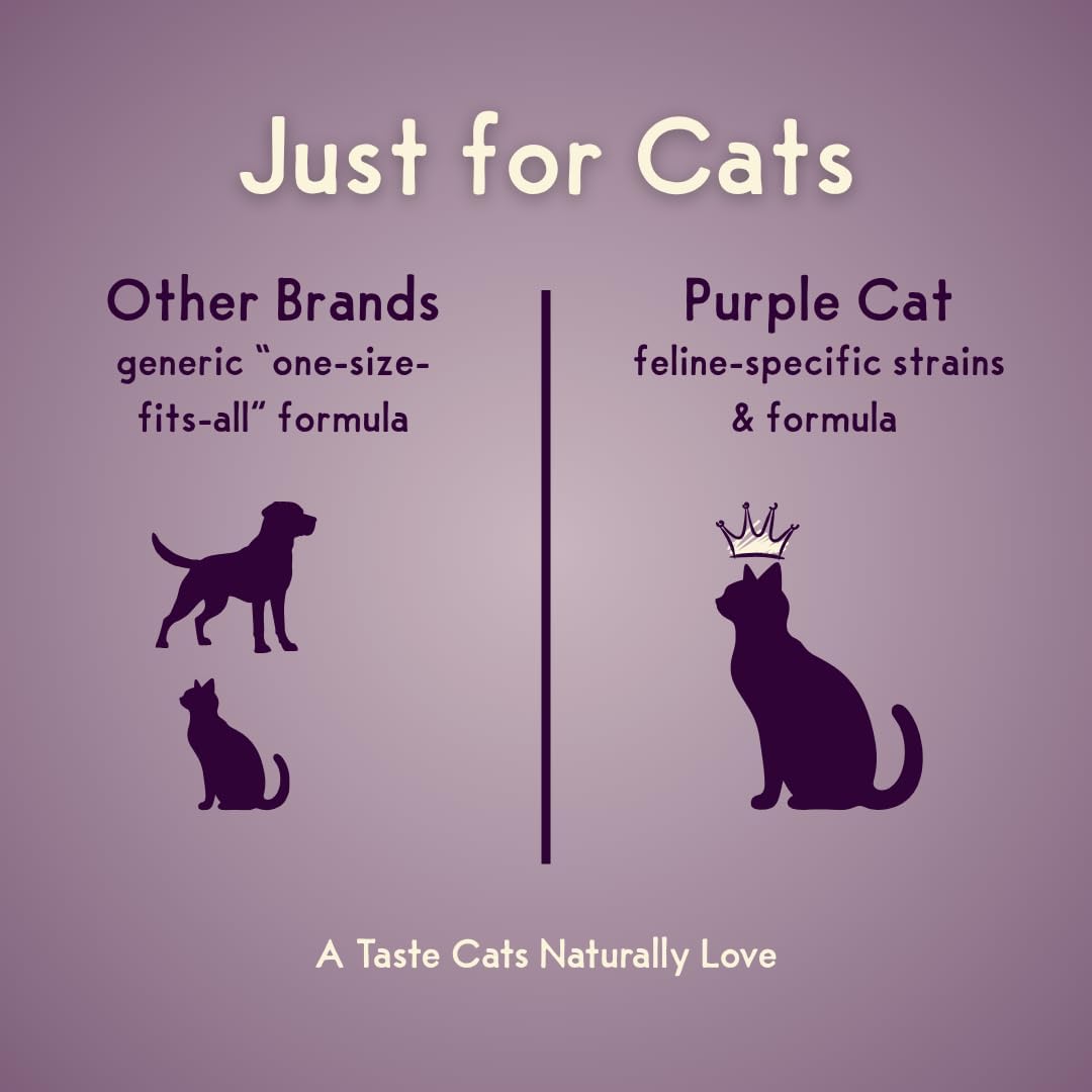 Feline Biome: Premium Cat & Kitten Probiotic – Gut Health, Diarrhea Relief & Immune Support – Natural & Organic Ingredients – 60 Soft Chews with Real Chicken and Chicken Liver