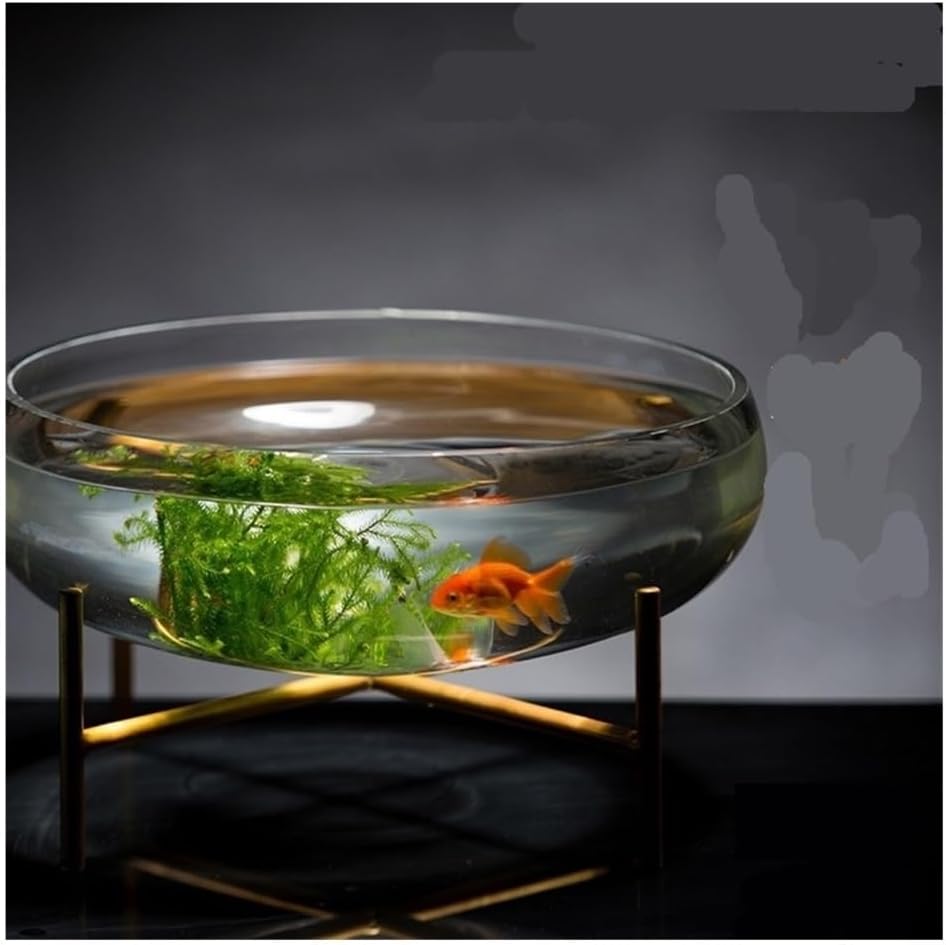 Fish Tank Large Glass Fish Tank Wide Diameter Bowl-Shaped Transparent Desktop Decoration Hydroponic Plant Container Planter