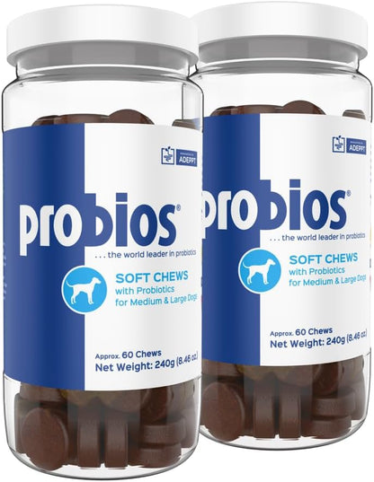 Probios for Dogs Soft Chews, Probiotics for Dogs, Daily Supplement for Gut Health, Digestion & Immune Support, Medium & Large Breeds, 8.46oz (Pack of 2)