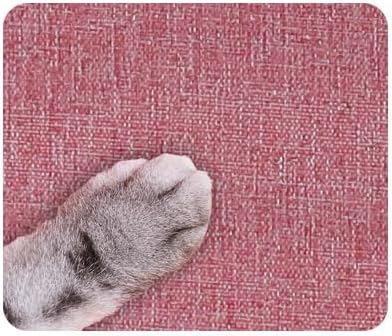 Falytemow Pet Carrier Backpack with Wheel and Fan for Small Dogs and Cats Under 22lb Collapsible Breathable System Waterproof Cat Bag for Hiking Camping Travel