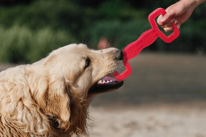 Large Eco Rubber Tugger – Red - Long Lasting Dog Chew Toys for Aggressive Chewers Strong Dog Toy for Dogs Durable Puppy Toys