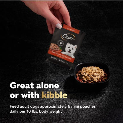 Cesar Filets in Gravy Wet Dog Food, Wood-Grilled Chicken Flavor, 1.76 oz. Mini-Pouches, 20 Count (Pack of 1)