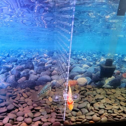 Acrylic Fish Tank Divider Aquarium Divider with 8 Suction Cups Transparent Fish Tank Separator Dividing Net Plate Isolation Board Flapper, 11.81 * 15.74in