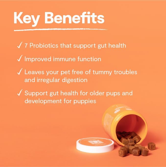 Open Farm Probiotic Chews, Dog Supplement, Dog Vitamins, Supports Normal Flora and Bowel Movement Using Traceable and Vet-Approved Ingredients, 12.7 oz, 90 Count