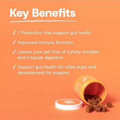 Open Farm Probiotic Chews, Dog Supplement, Dog Vitamins, Supports Normal Flora and Bowel Movement Using Traceable and Vet-Approved Ingredients, 12.7 oz, 90 Count