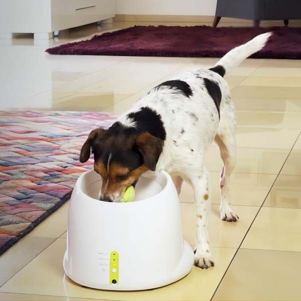 Compact Automatic Dog Ball Launcher Interactive Fetch Machine