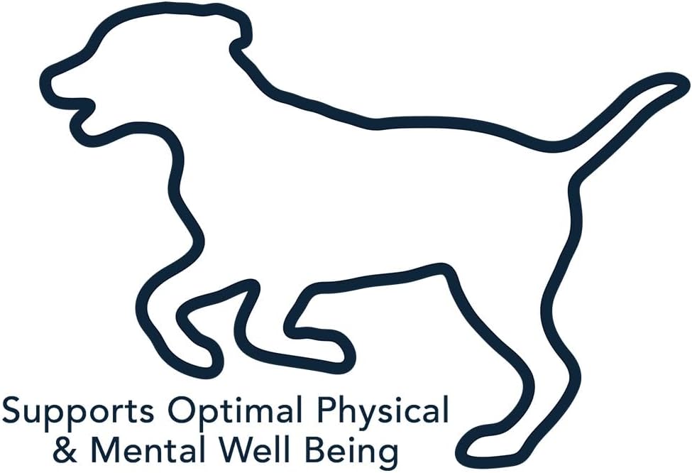 Vet's Best Multi-Vitamin Soft Chew Dog Supplements - Vitamins for Dogs - Supports Dogs Physical and Mental Health - 30 Day Supply