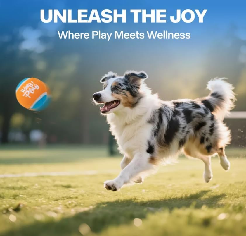 Dog Ball Launcher, Upgraded Dog Ball Blaster with 3 ETPU Balls, Interactive Thrower for Medium to Large Dogs, Play Fetch Toy for Dogs for Outdoor Exercise