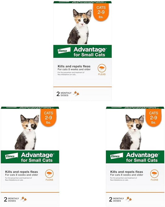 Advantage Topical Cat Flea Treatment and Prevention for Small Cats 2-9 lbs. | Apply Flea Drops Monthly | 6 Treatments (Pack of 3)