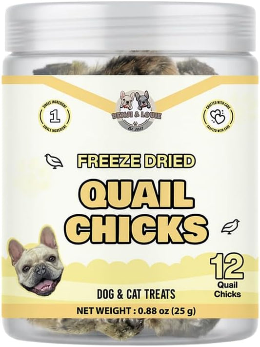 Benji & Louie Freeze Dried Quail Chicks – Whole Prey Treats with Bone, Feather, Feet, Peak – Single Ingredient Snack for Dogs & Cats – (0.88 oz) - 12 Chicks