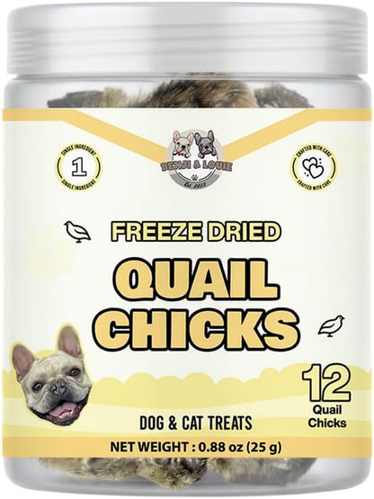 Benji & Louie Freeze Dried Quail Chicks – Whole Prey Treats with Bone, Feather, Feet, Peak – Single Ingredient Snack for Dogs & Cats – (0.88 oz) - 12 Chicks
