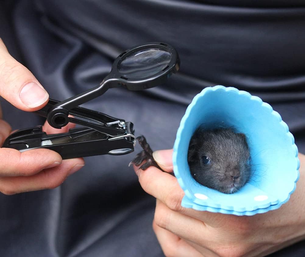 Guinea Pig Nail Clippers with Magnifying Glass Stainless Steel Claw Toenail Trimmer for Small Animal Hedgehog Rabbit Hamster Ferret Hamsters Chinchilla Sugar Glider Pet Grooming Supplies (Black)