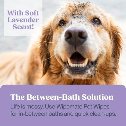 WIPEMATE Lavender XL Pet Wipes for Medium to Large Dogs & Cats, No-Rinse Solution, Hypoallergenic, Gentle, Deodorizing - Pet Wipes for Cleans Paws, Ears, Fur, Butt, & Anal Glands (100 ct)